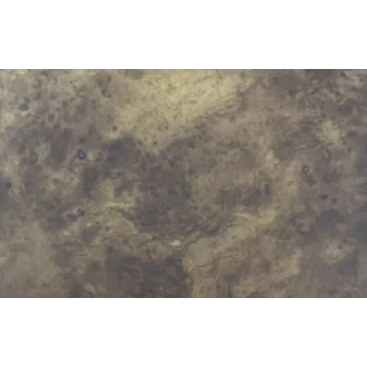 Side table GALLOTTI&RADICE Monete