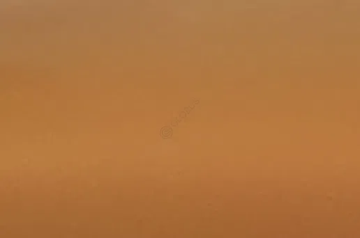 Dining chair TURRI Eclipse