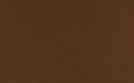 Dining chair ASTER Wolfe