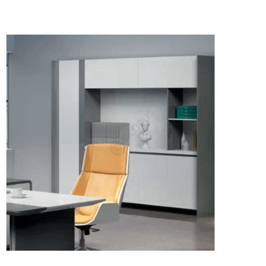 Archival office cabinet Quiza
