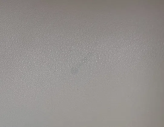 Dining chair REFLEX ANGELO Milady