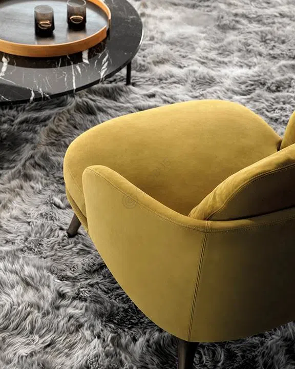 Armchair MINOTTI Raphael