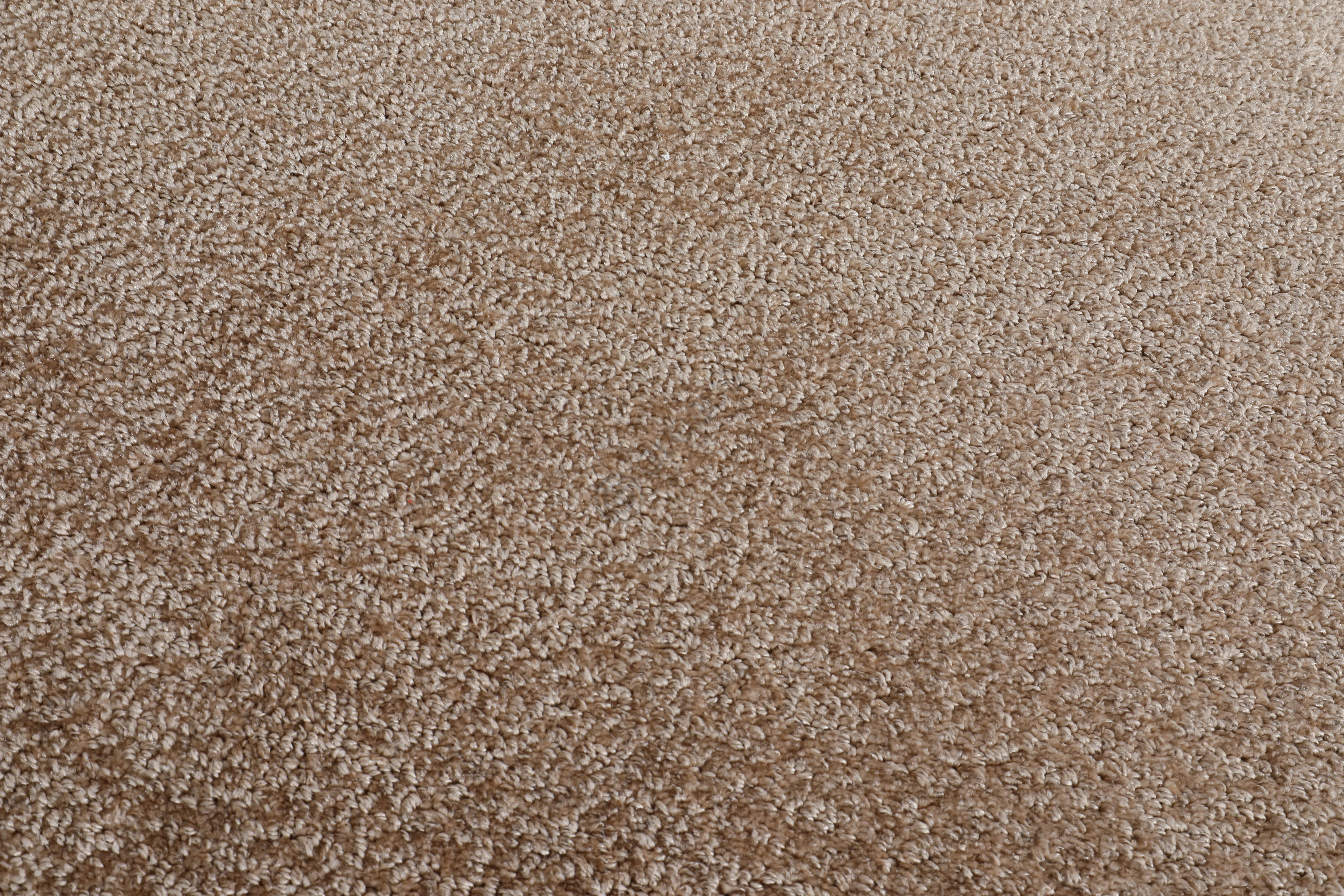 Carpet Freitag