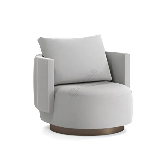 Armchair MINOTTI Torii Bold