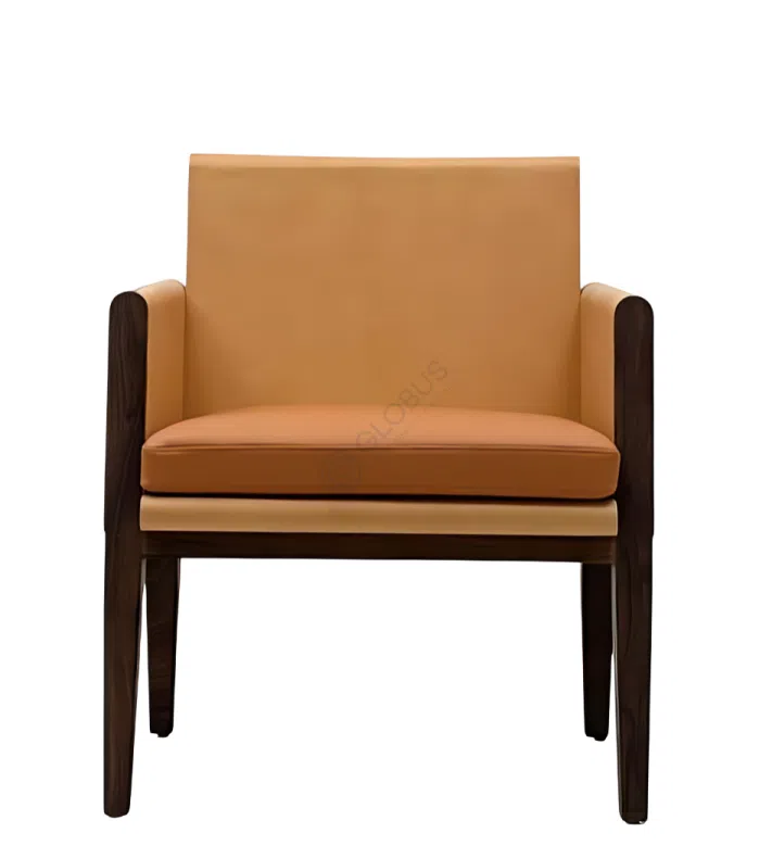 Armchair Elegit