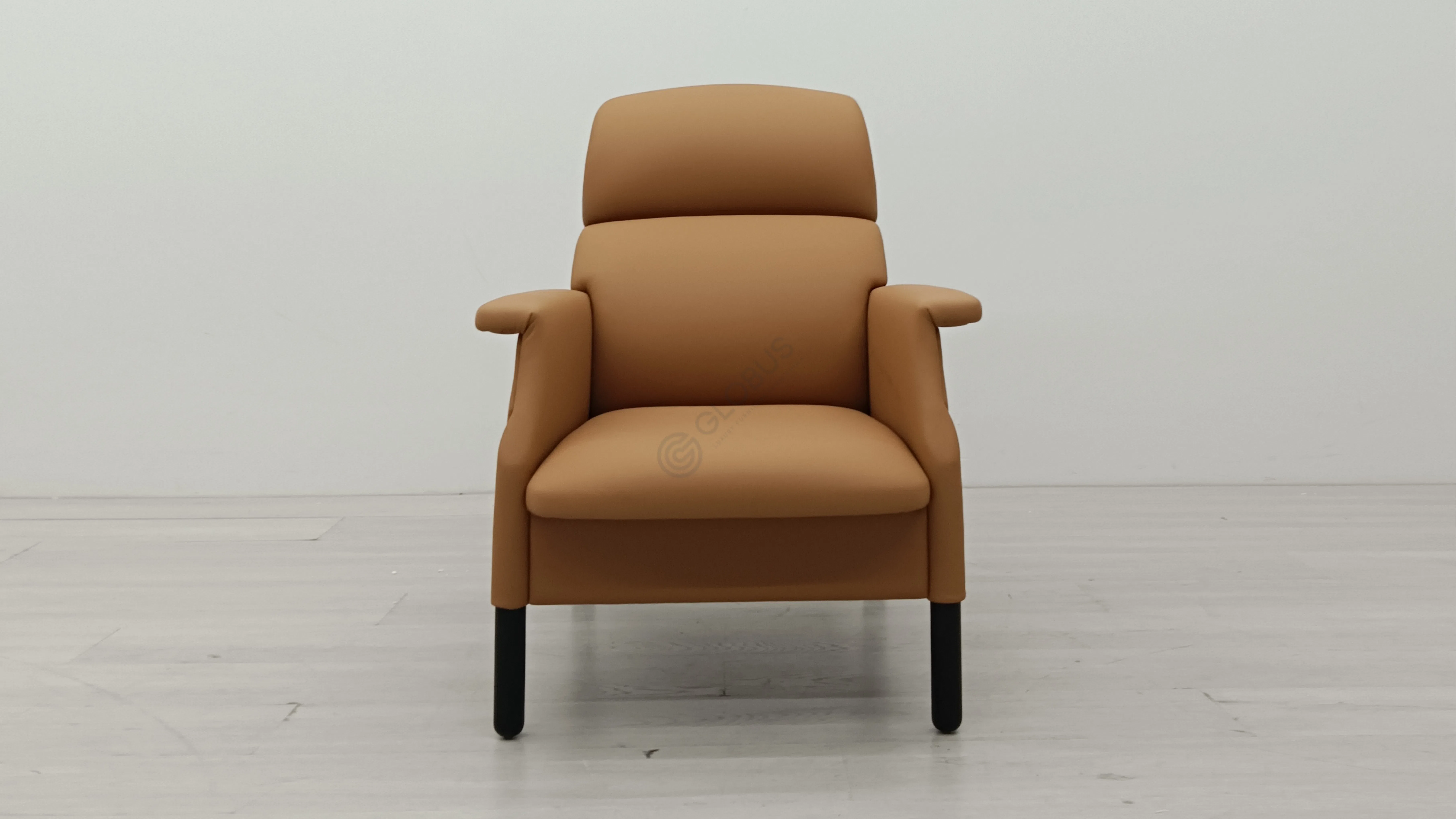 Armchair POLTRONA FRAU