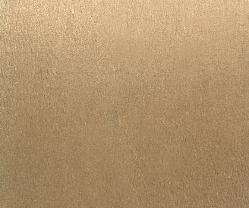 Armchair VISIONNAIRE Sontag