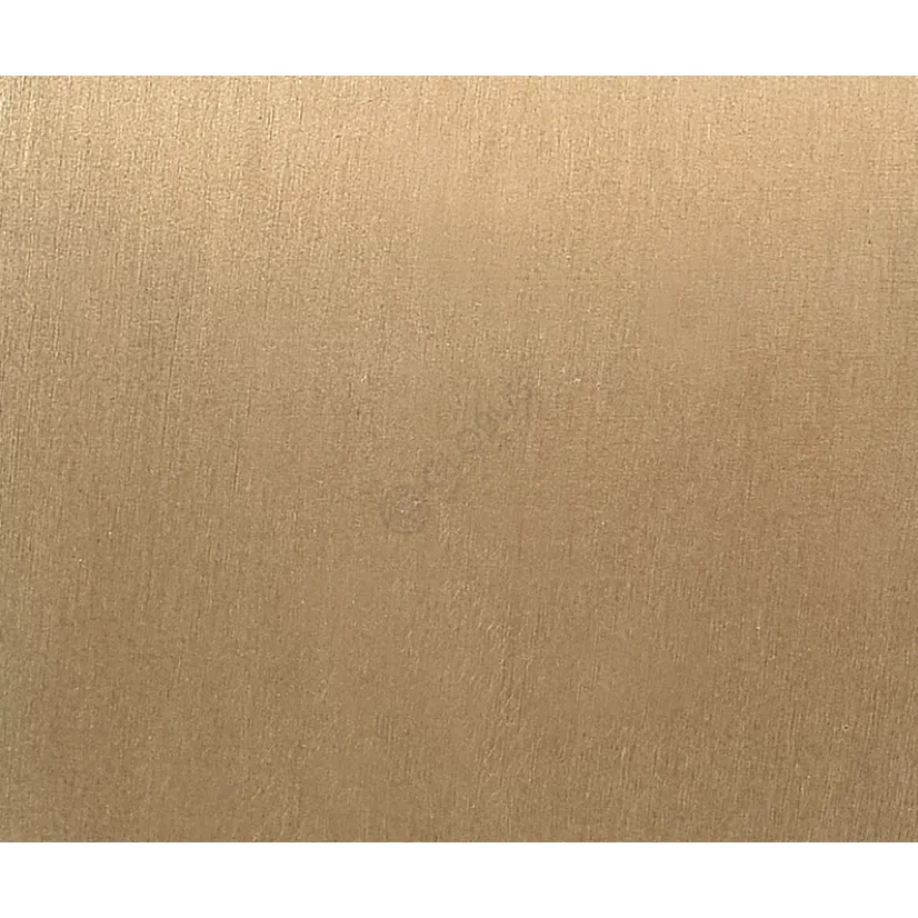 Armchair VISIONNAIRE Sontag