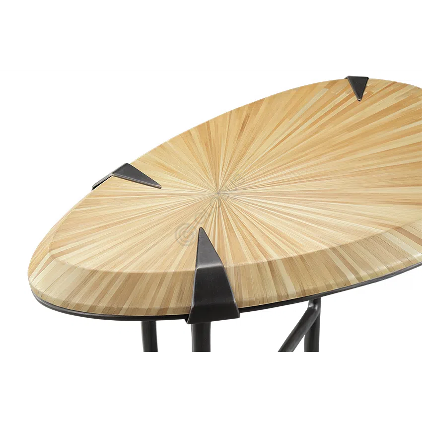 Side table ALEXANDER LAMONT Drop