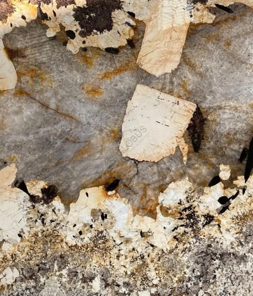 Coffee table APPARATUS