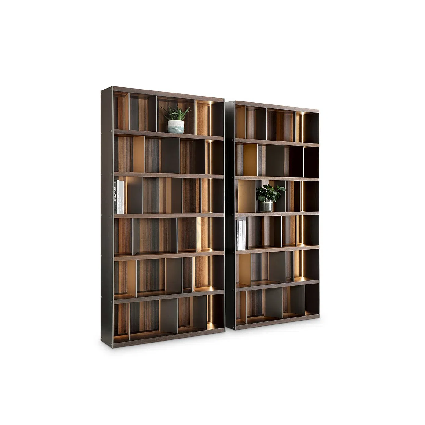Bookshelf Rajeev