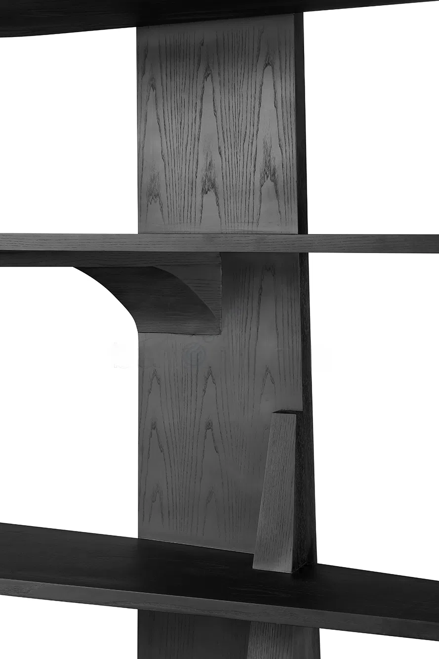 Bookshelf CHRISTOPHE DELCOURT Ors