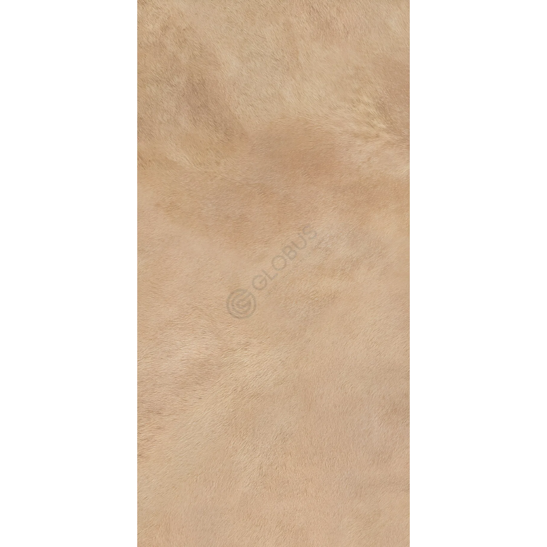 Porcelain stoneware Sapiente