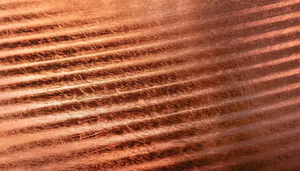 Photo: depositphotos.com