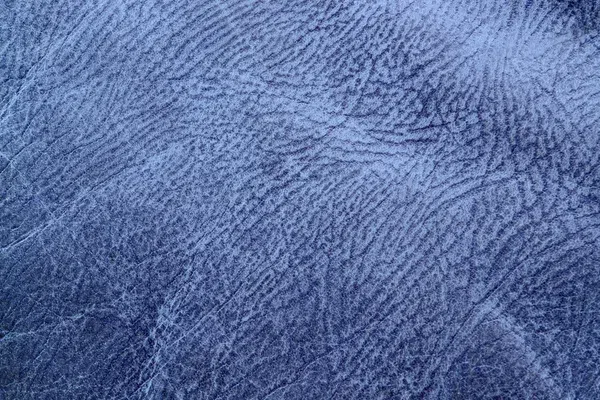 Photo: depositphotos.com