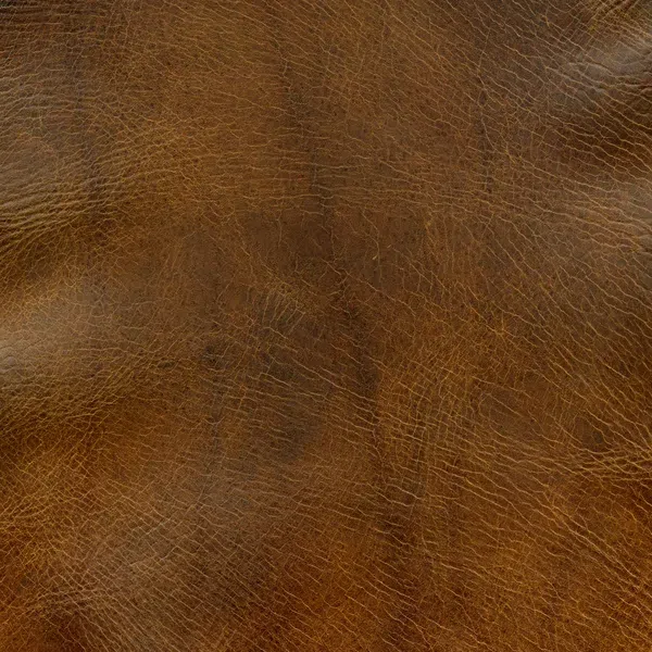 Photo: depositphotos.com