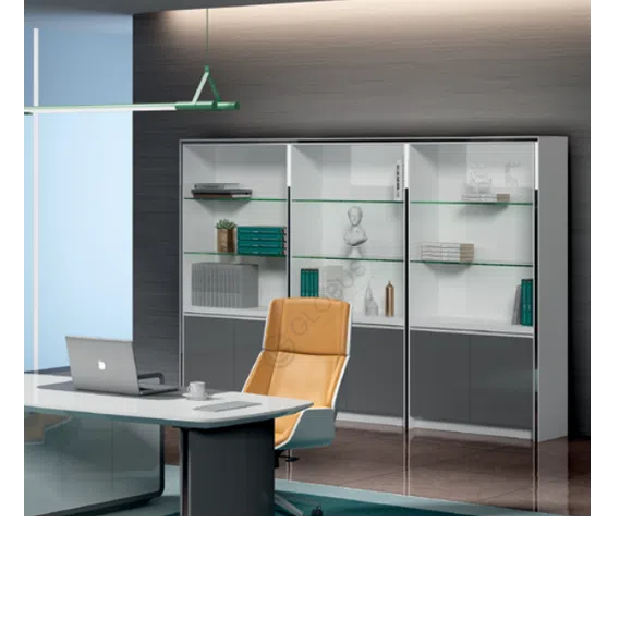 Archival office cabinet Auspex