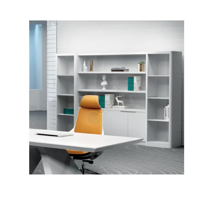 Archival office cabinet Morosina