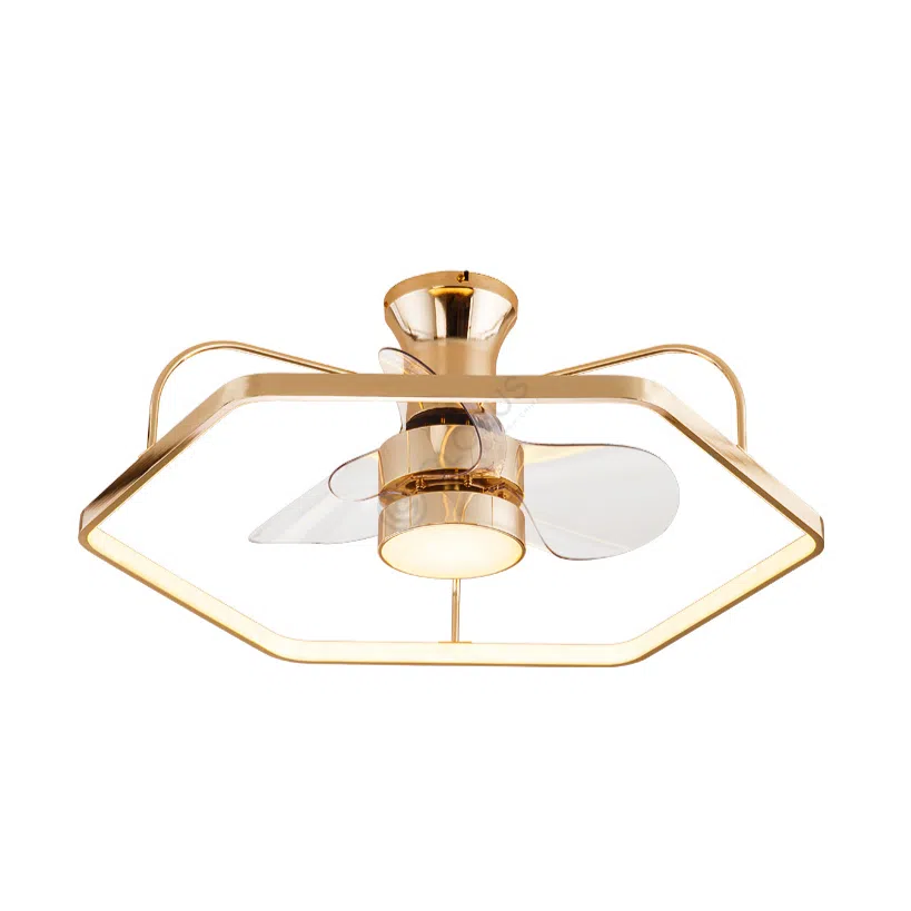 Fan Aloysia