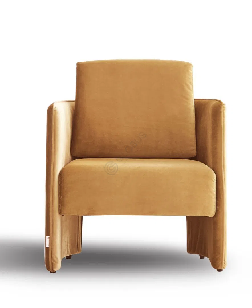 Armchair Lapidurus